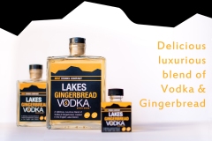 GINGERBREAD-VODKA-Edit