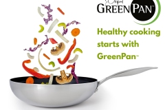 Green-Pan-Wok-flat-lo-res