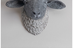 kitchen-sheep-head