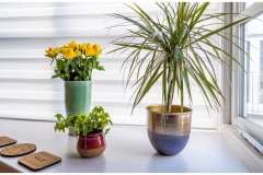 lounge-window-sill