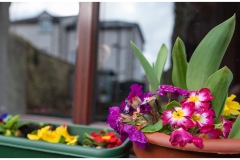 window-box