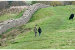 hadrians-wall-3